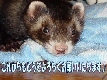 f0129072_0383384.jpg