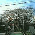 d0013873_1982744.gif