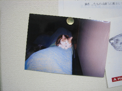 d0116578_19411455.jpg