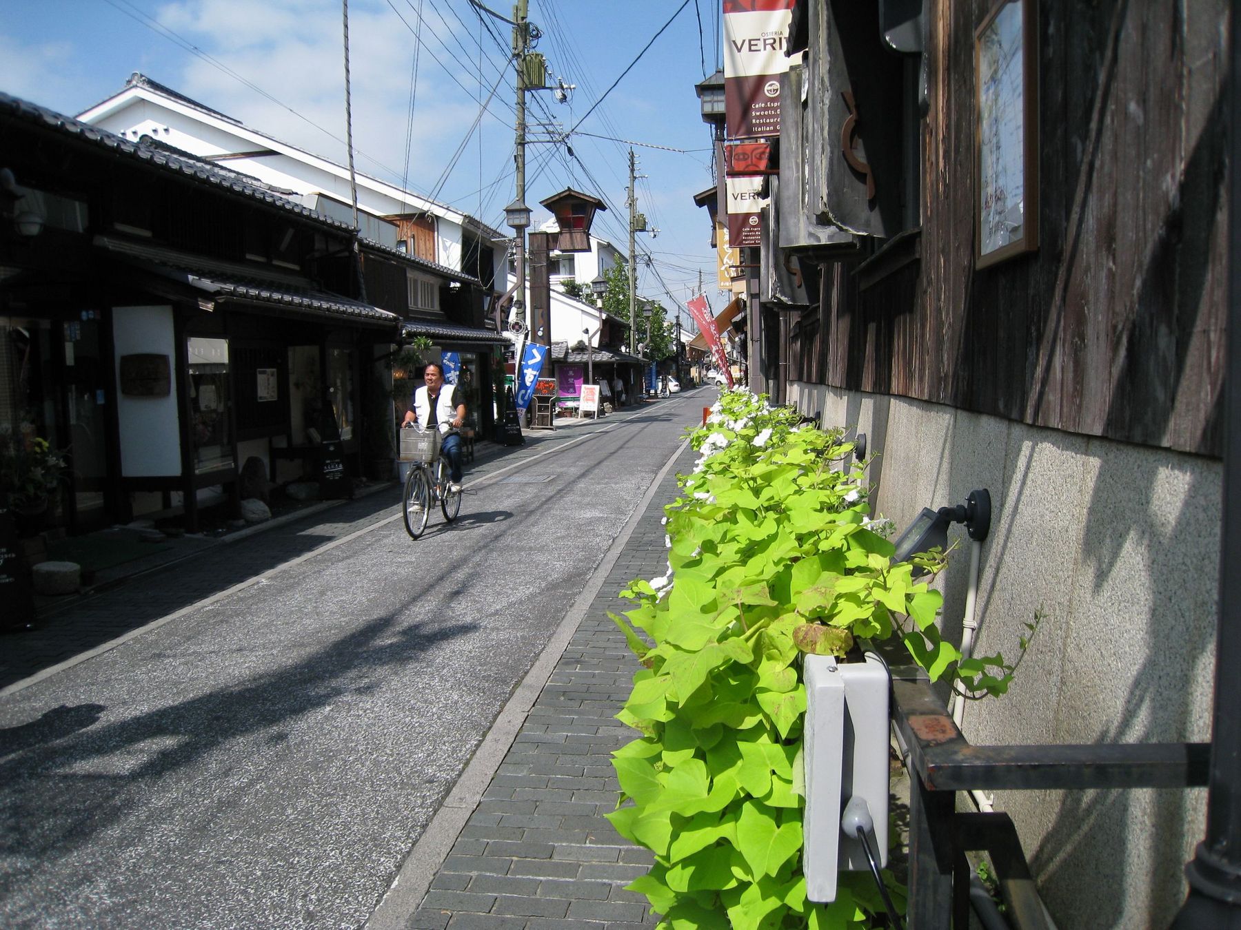 c0098586_56689.jpg