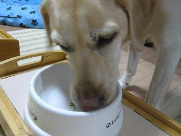 c0028792_21554037.jpg