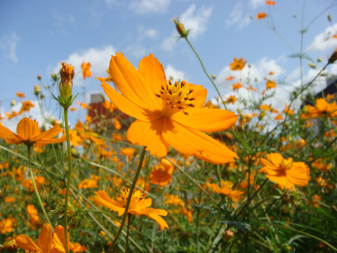 f0146493_9522161.jpg