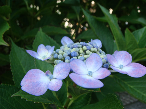 f0146493_9525121.jpg