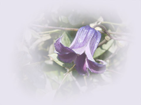 f0146493_9542755.jpg