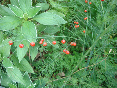f0146493_957136.jpg