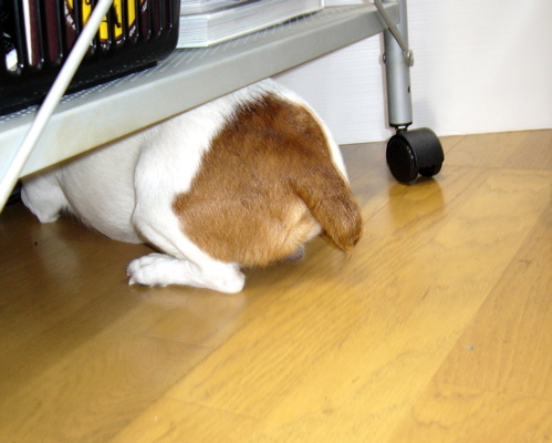 f0146198_0415266.jpg