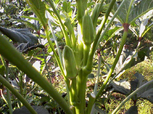 e0124705_23211611.jpg