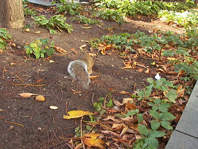 f0038407_10563858.jpg