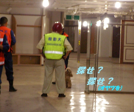 中野丸井はカフェの香り_b0067012_0112242.jpg