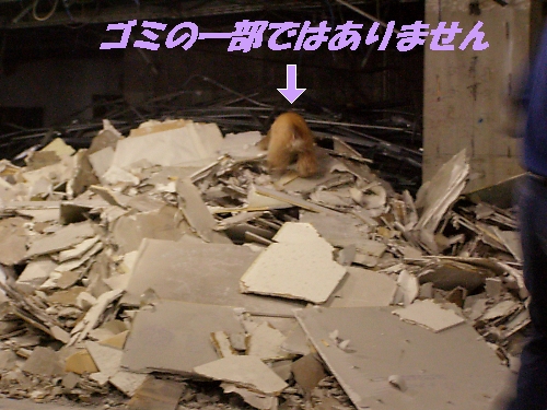 中野丸井はカフェの香り_b0067012_1464951.jpg