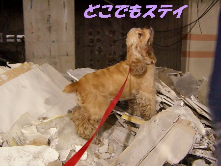 中野丸井はカフェの香り_b0067012_1531245.jpg