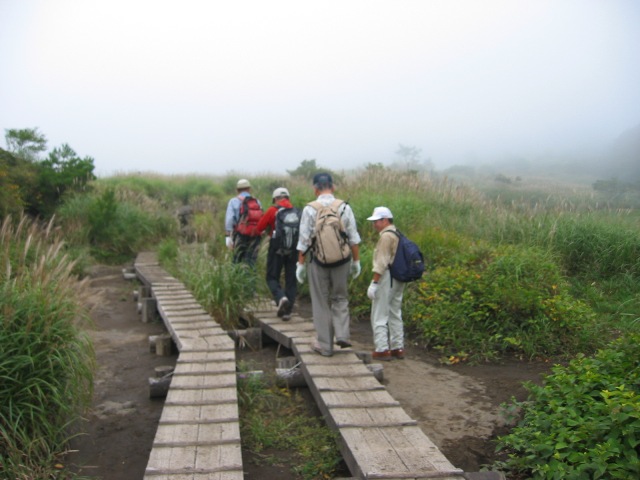 d0109916_1295345.jpg
