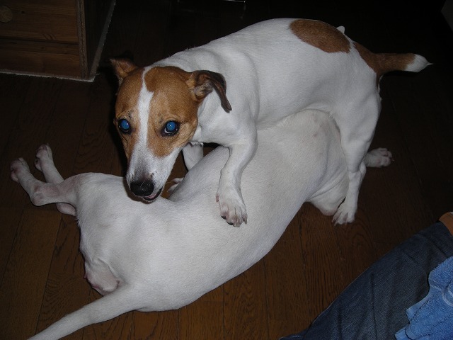 e0121418_04974.jpg