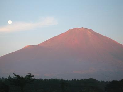 b0007619_37179.jpg