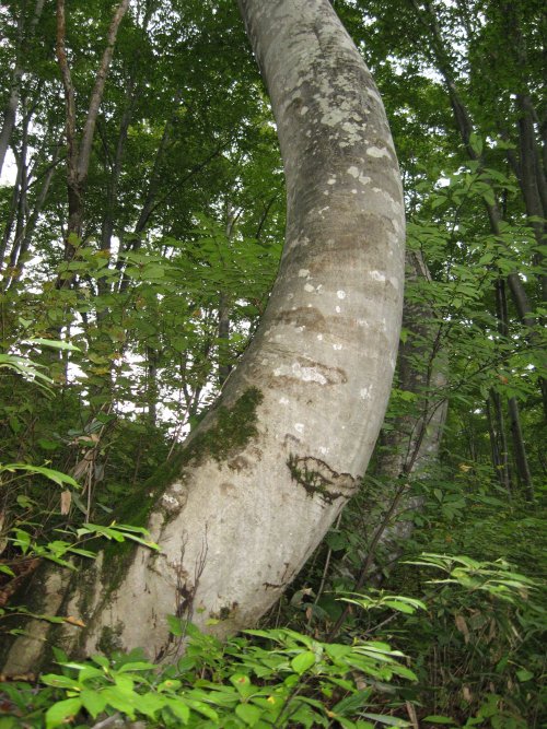 f0140327_2027823.jpg