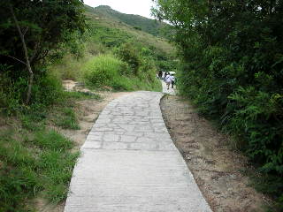 c0064129_1146553.jpg