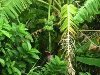 c0064129_11471999.jpg