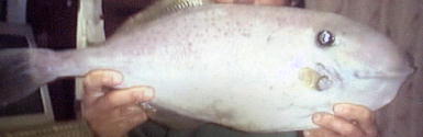 a0107341_23323348.jpg
