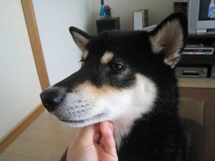 f0058241_13303260.jpg