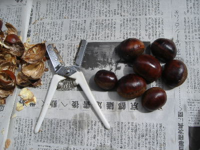 やっぱり栗・・・_f0082141_2311535.jpg