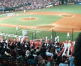 c0017046_23255941.jpg