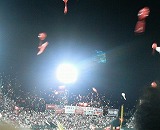 c0017046_2326465.jpg