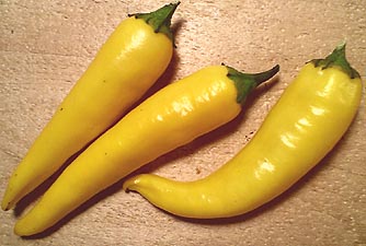 黄色とうがらし知ってます ガジャのねーさんの 空をみあげて Hazle Cucu 黄色とうがらし知ってます ガジャのねーさんの 空をみあげて Hazle Cucu
