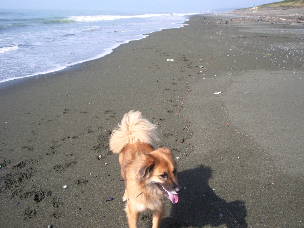 f0034156_2243356.jpg