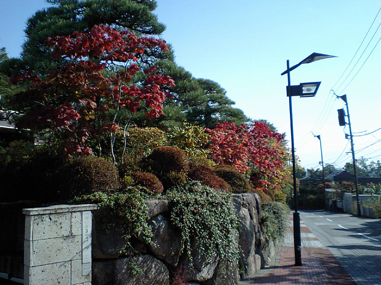 d0098665_19353623.jpg
