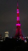 とげとりマスター_d0118165_16451725.jpg