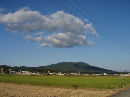 コスモス_a0077071_17463539.jpg