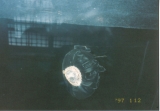 e0003272_23265577.jpg