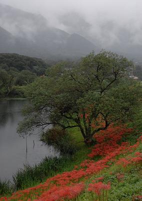 趣味の写真・・・津屋川　岐阜県海津町_b0105374_17224473.jpg