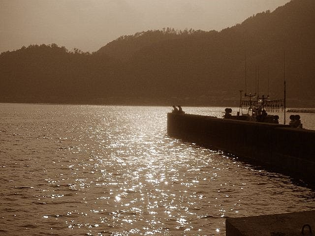 d0068879_81244.jpg