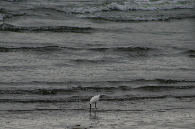 Quiet autumn shore_c0098182_238945.jpg