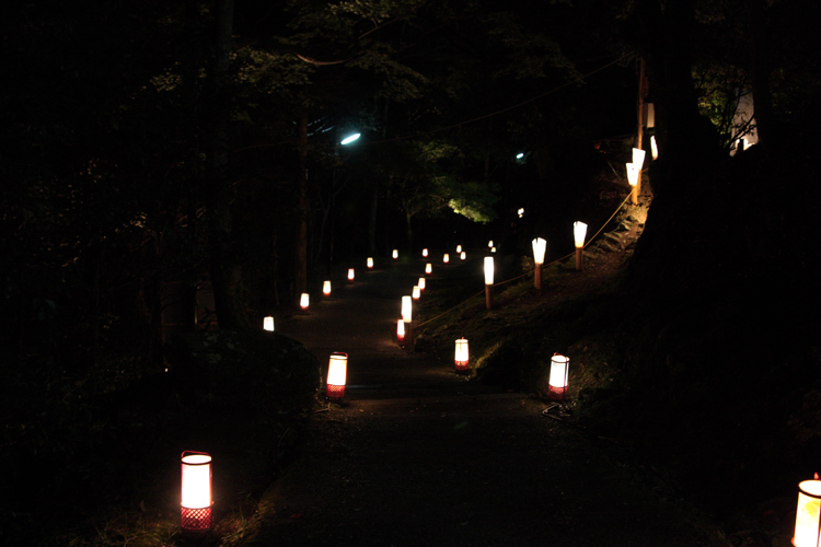 高雄 もみじの散歩路 初秋ライトアップ_e0051888_22593110.jpg