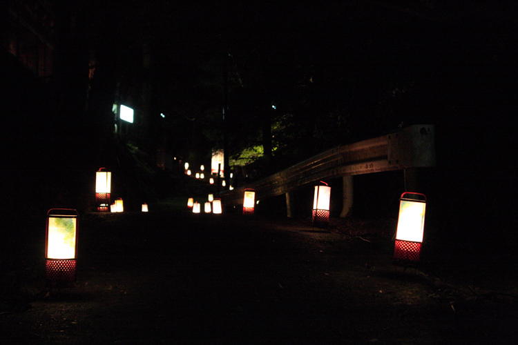 高雄 もみじの散歩路 初秋ライトアップ_e0051888_22594770.jpg