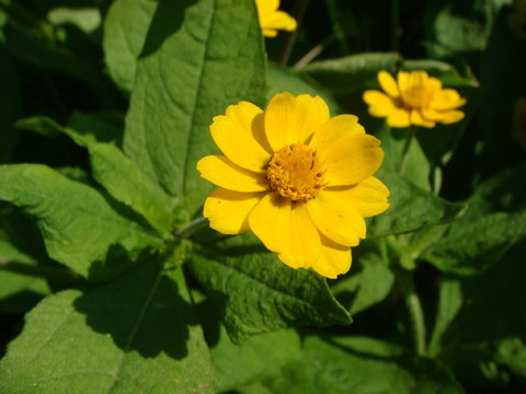 f0146493_821638.jpg