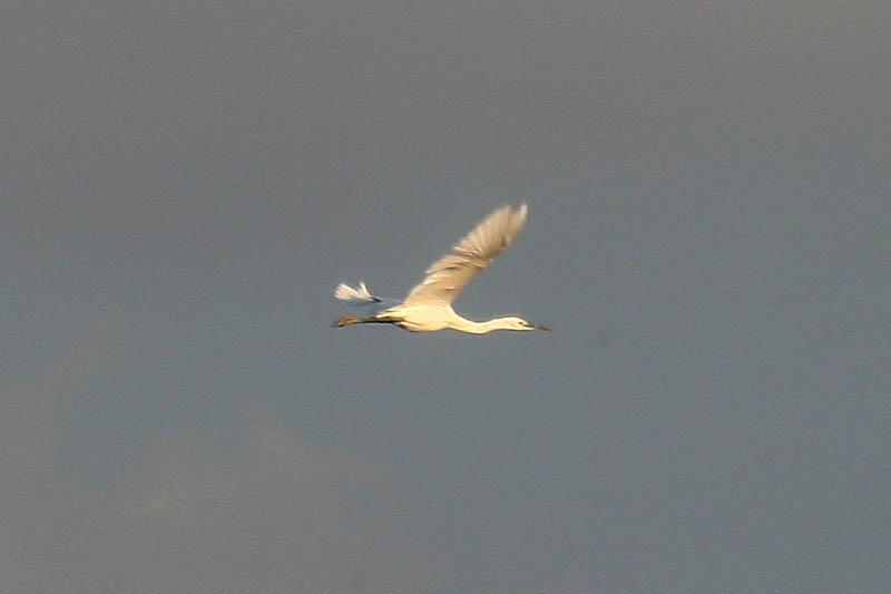 b0024798_9185998.jpg