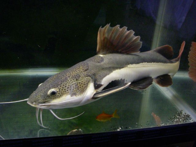 e0010301_1647209.jpg