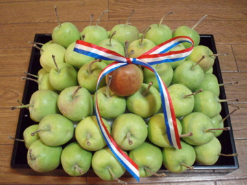 d0100904_2156439.jpg
