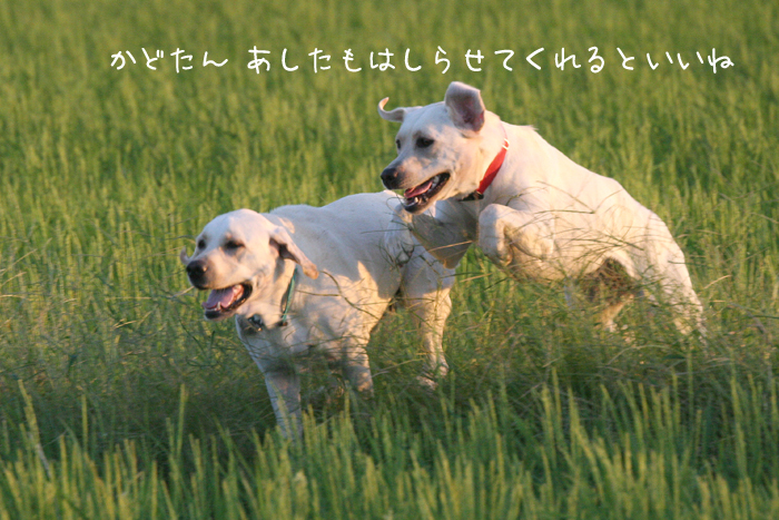 c0089005_157055.jpg