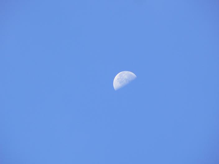 c0086014_21312420.jpg