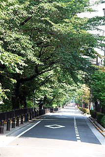 c0116714_2313677.jpg
