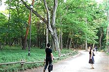 c0116714_9355942.jpg