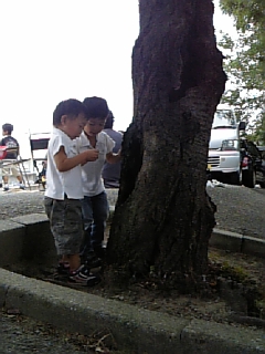 b0081518_026231.jpg