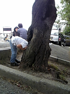 b0081518_0282382.jpg