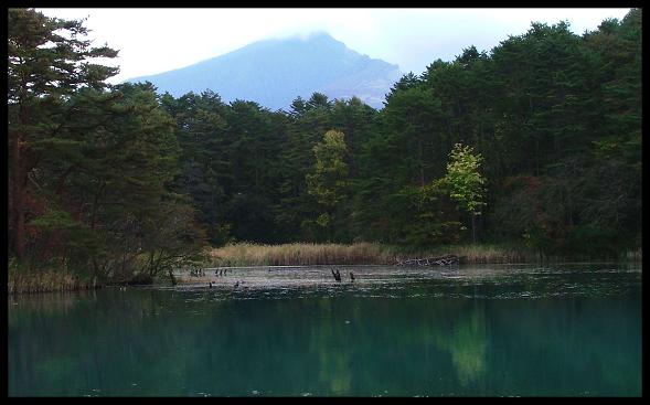 毘沙門沼の秋景（福島県・五色沼）：一昨年の作画ヨリ_d0123528_984795.jpg