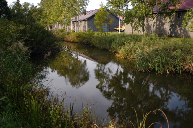 f0054539_23404735.jpg