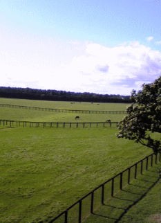 f0063944_18105370.gif